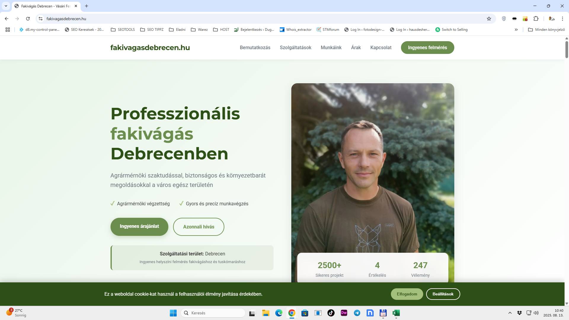 Minden, amit a fakivágásról tudni kell Debrecenben
